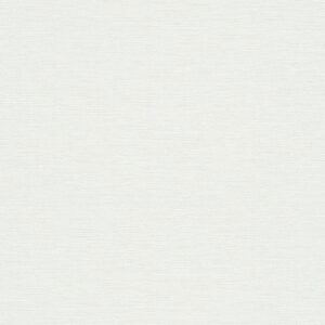 xr:d:DAF-EG5KdPg:2,j:771661522072440229,t:24022808