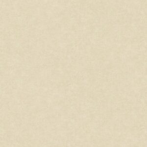 xr:d:DAF-EG5KdPg:2,j:771661522072440229,t:24022808