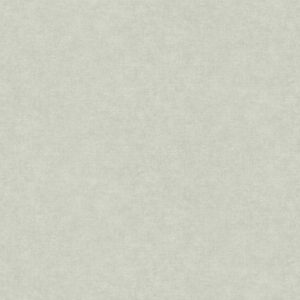 xr:d:DAF-EG5KdPg:2,j:771661522072440229,t:24022808